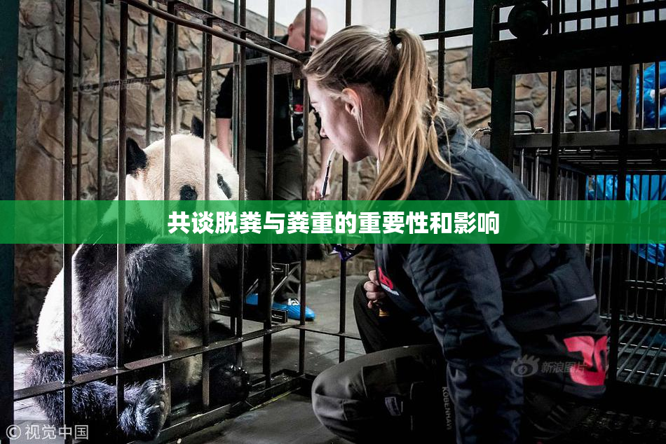 共谈脱粪与粪重的重要性和影响