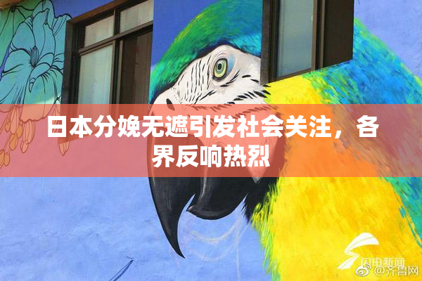 日本分娩无遮引发社会关注，各界反响热烈