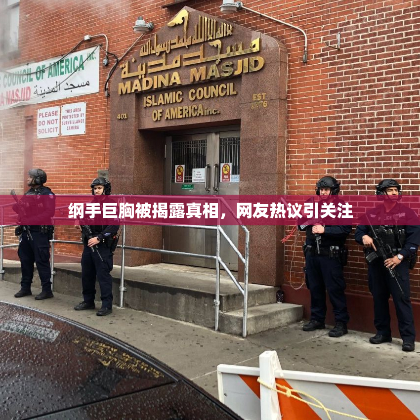 纲手巨胸被揭露真相，网友热议引关注