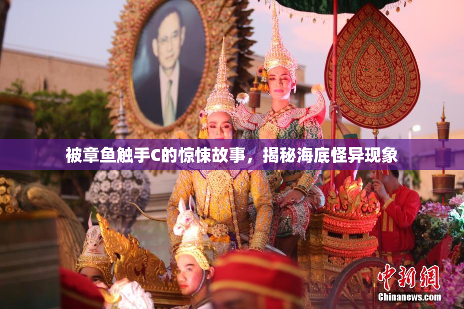 被章鱼触手C的惊悚故事，揭秘海底怪异现象