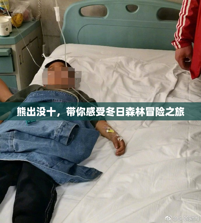 熊出没十，带你感受冬日森林冒险之旅