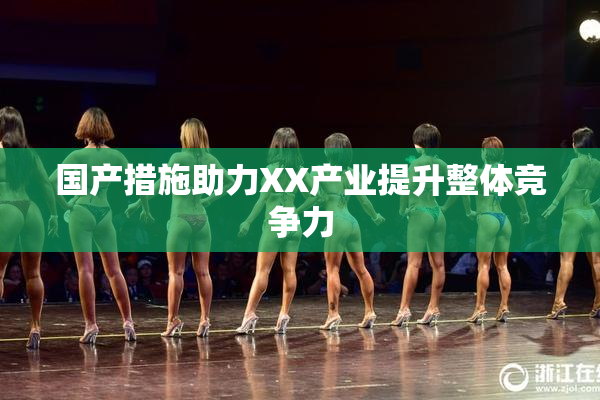 国产措施助力XX产业提升整体竞争力
