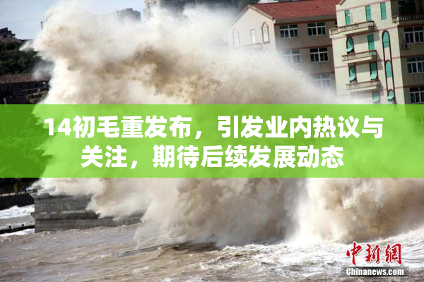 14初毛重发布，引发业内热议与关注，期待后续发展动态