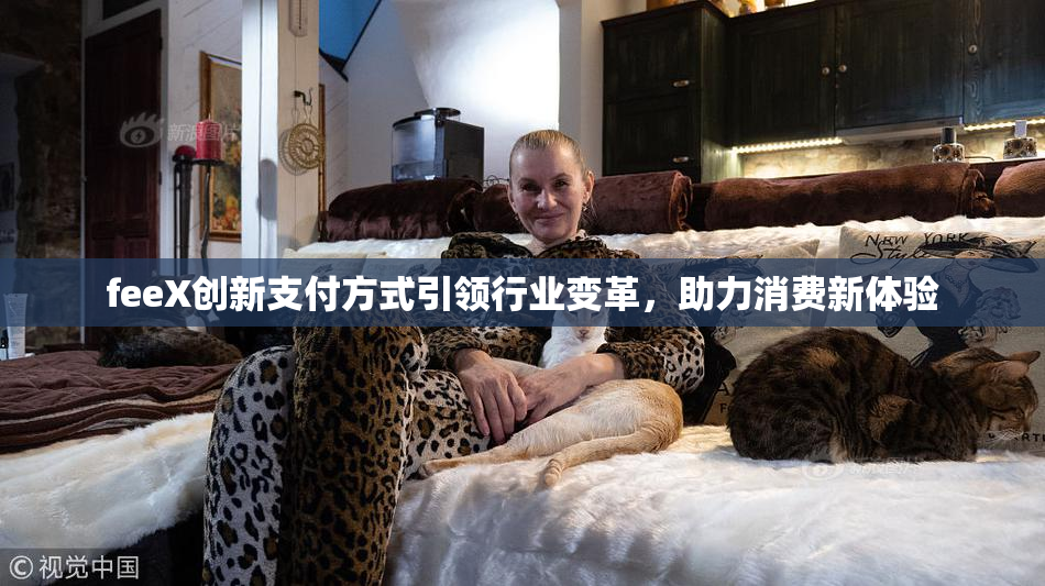 feeX创新支付方式引领行业变革，助力消费新体验