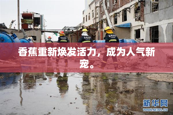 香蕉重新焕发活力，成为人气新宠。