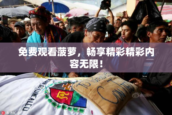 免费观看菠萝，畅享精彩精彩内容无限！