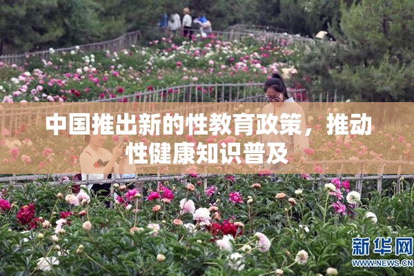 中国推出新的性教育政策，推动性健康知识普及