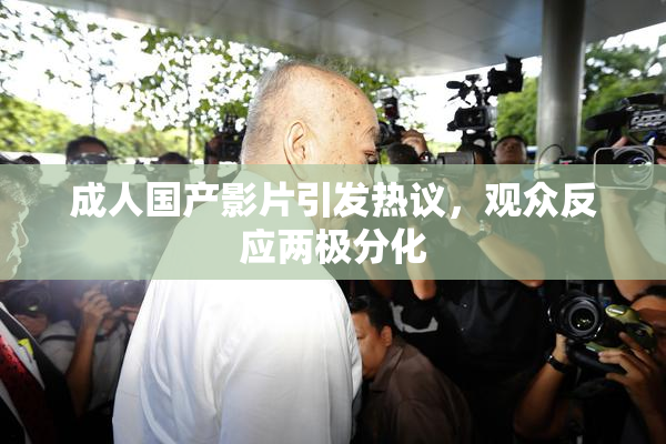 成人国产影片引发热议，观众反应两极分化