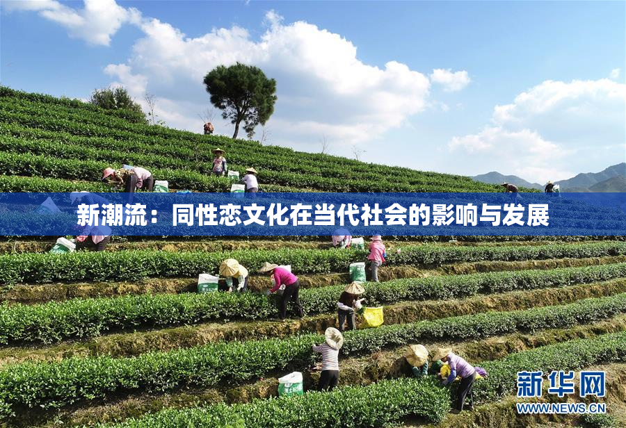 新潮流：同性恋文化在当代社会的影响与发展