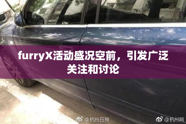 furryX活动盛况空前，引发广泛关注和讨论