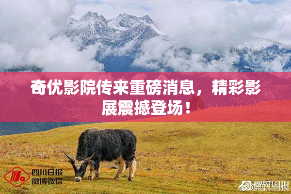 奇优影院传来重磅消息，精彩影展震撼登场！