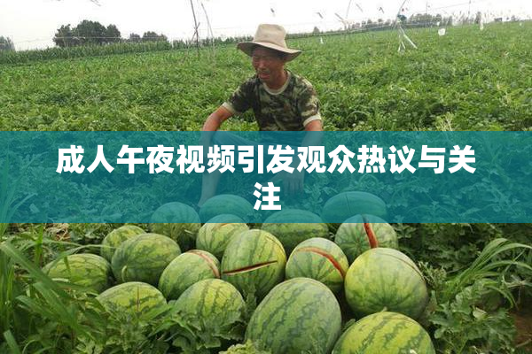 成人午夜视频引发观众热议与关注