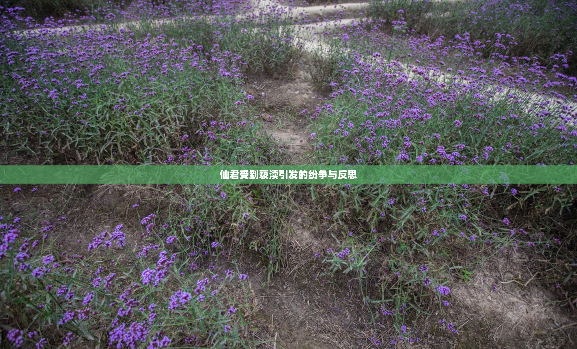 仙君受到亵渎引发的纷争与反思
