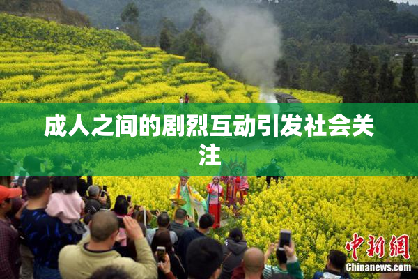 成人之间的剧烈互动引发社会关注