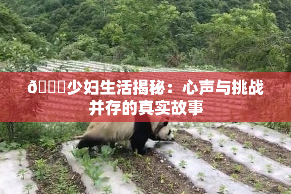 🔞少妇生活揭秘：心声与挑战并存的真实故事