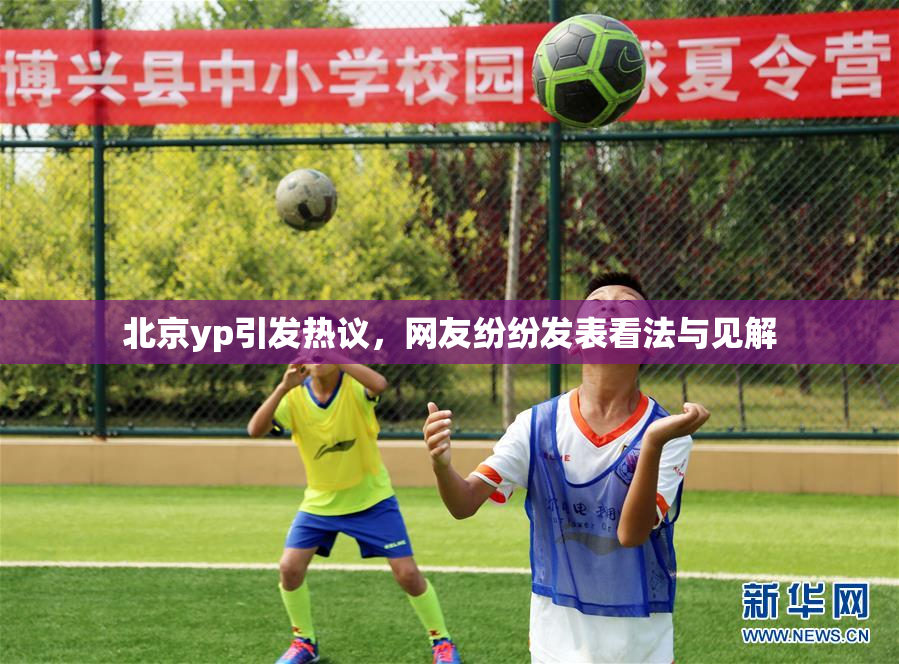 北京yp引发热议，网友纷纷发表看法与见解