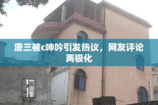 唐三被c呻吟引发热议，网友评论两极化