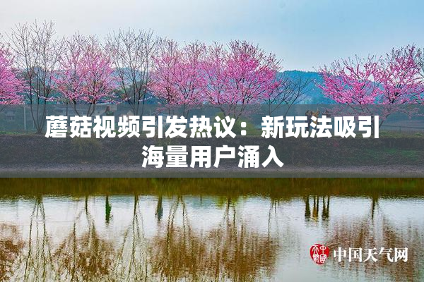 蘑菇视频引发热议：新玩法吸引海量用户涌入