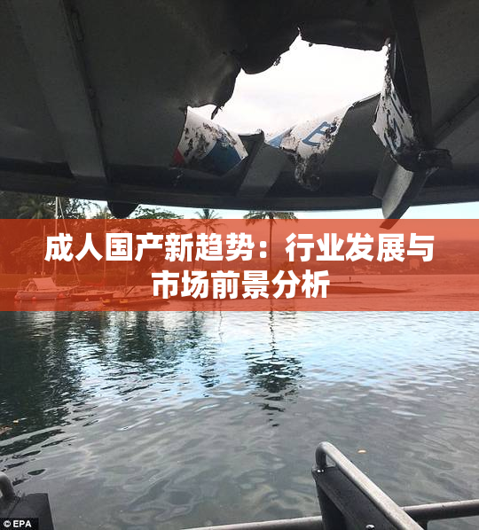 成人国产新趋势：行业发展与市场前景分析