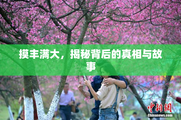 摸丰满大，揭秘背后的真相与故事
