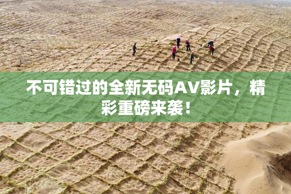不可错过的全新无码AV影片，精彩重磅来袭！