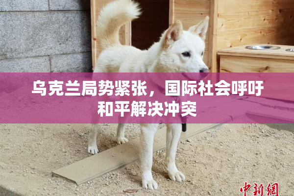乌克兰局势紧张，国际社会呼吁和平解决冲突