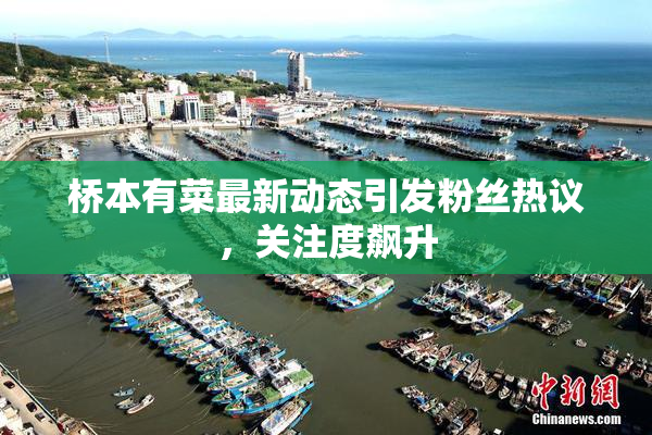 桥本有菜最新动态引发粉丝热议，关注度飙升