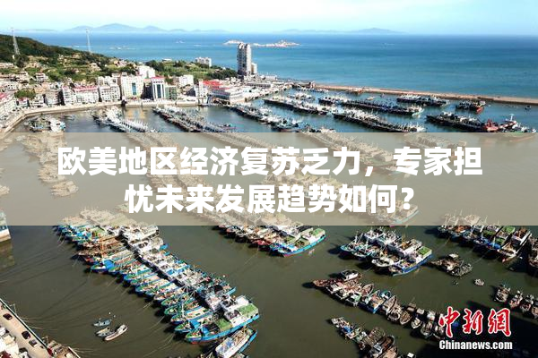 欧美地区经济复苏乏力，专家担忧未来发展趋势如何？