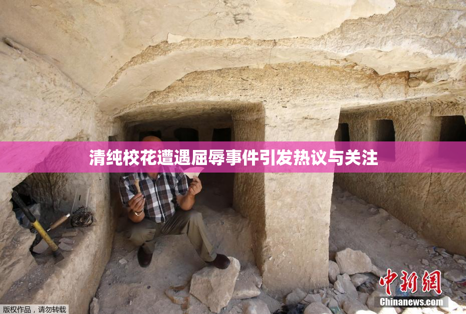 清纯校花遭遇屈辱事件引发热议与关注