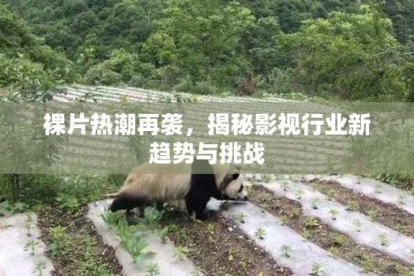 裸片热潮再袭，揭秘影视行业新趋势与挑战