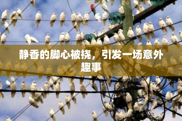 静香的脚心被挠，引发一场意外趣事