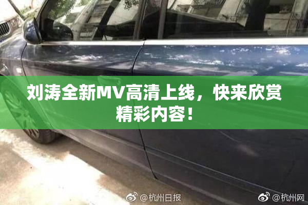 刘涛全新MV高清上线，快来欣赏精彩内容！