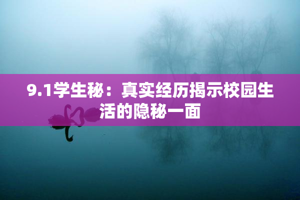 9.1学生秘：真实经历揭示校园生活的隐秘一面