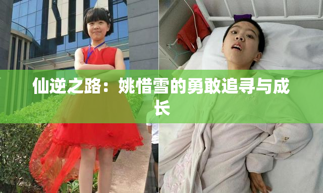 仙逆之路：姚惜雪的勇敢追寻与成长