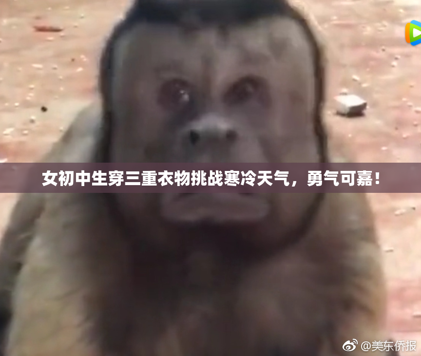 女初中生穿三重衣物挑战寒冷天气，勇气可嘉！