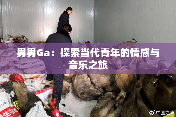 男男Ga：探索当代青年的情感与音乐之旅