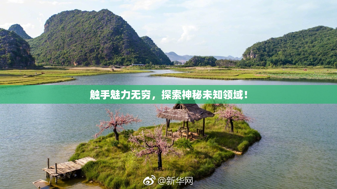 触手魅力无穷，探索神秘未知领域！