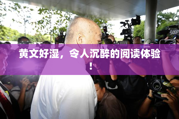 黄文好湿，令人沉醉的阅读体验！