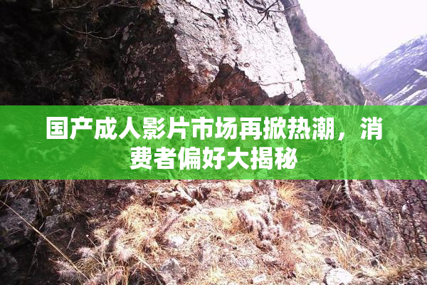 国产成人影片市场再掀热潮，消费者偏好大揭秘