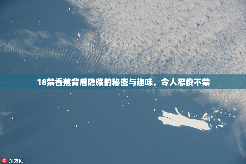 18禁香蕉背后隐藏的秘密与趣味，令人忍俊不禁