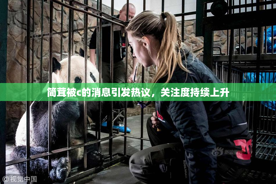 简茸被c的消息引发热议，关注度持续上升
