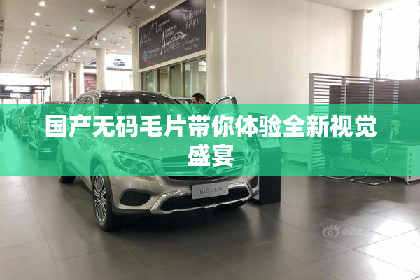 国产无码毛片带你体验全新视觉盛宴