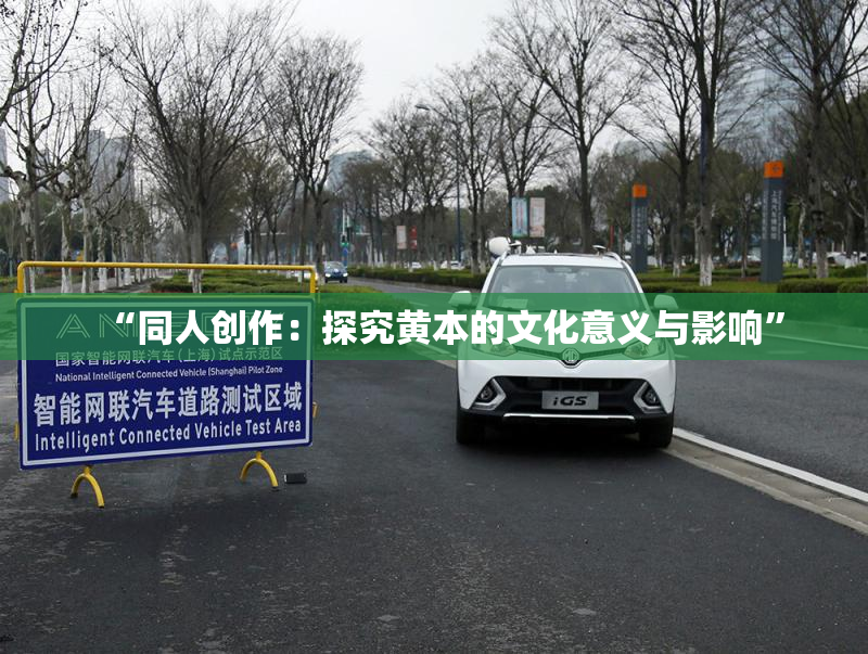 “同人创作：探究黄本的文化意义与影响”