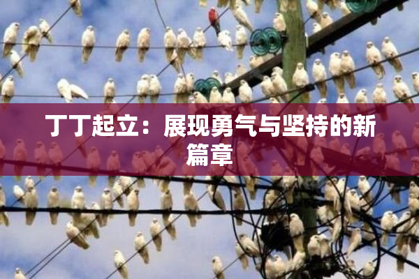 丁丁起立：展现勇气与坚持的新篇章