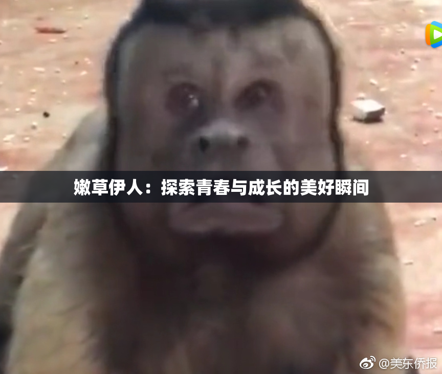 嫩草伊人：探索青春与成长的美好瞬间