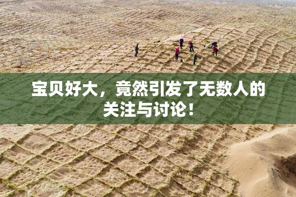 宝贝好大，竟然引发了无数人的关注与讨论！