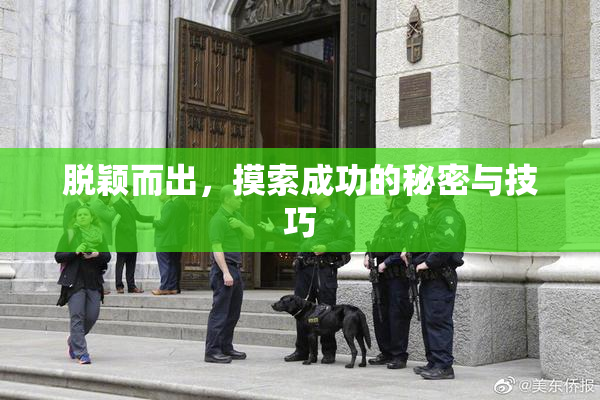 脱颖而出，摸索成功的秘密与技巧