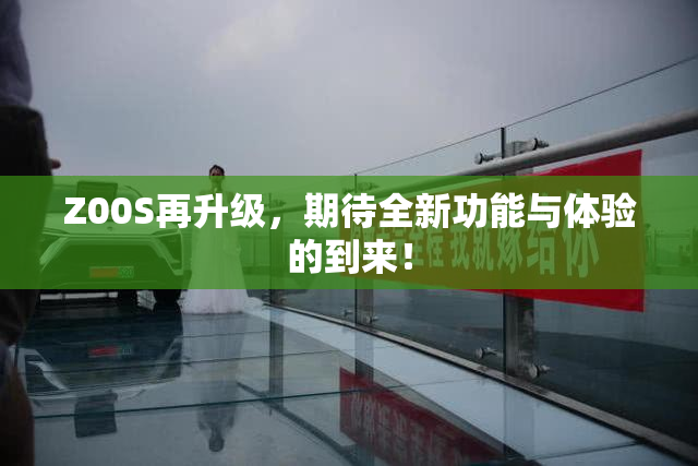 Z00S再升级，期待全新功能与体验的到来！