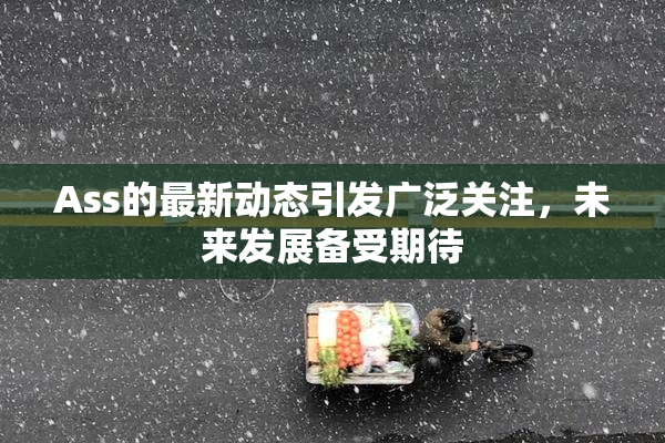 Ass的最新动态引发广泛关注，未来发展备受期待
