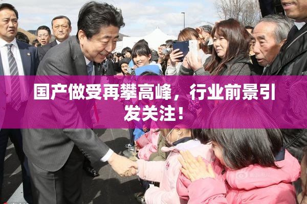 国产做受再攀高峰，行业前景引发关注！